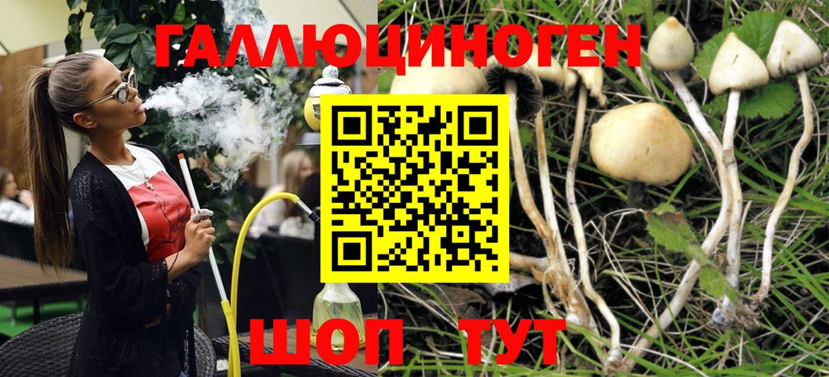 Псилоцибиновые грибы прущие грибы Сосновоборск