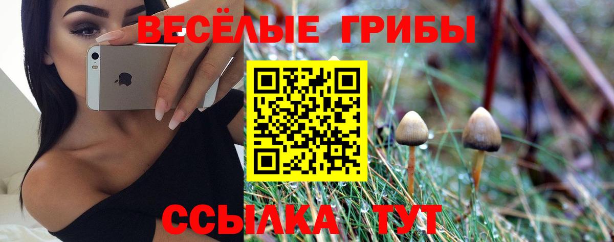 наркошоп  Вход с VPN  Сосновоборск  Галлюциногенные грибы Psilocybine cubensis 